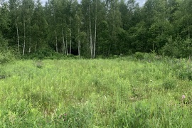 Участок 12 сот