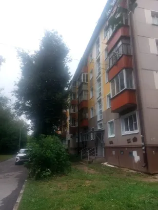 1-к. квартира, 30,8 м², 5/5 эт.