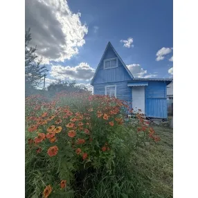 Дача 20 кв.м. 4 сот
