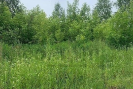 участок 15 сот.