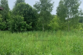 участок 10 сот