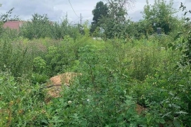 Участок 16 соток