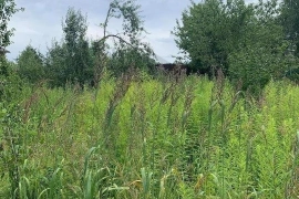 участок 15,76 сот.