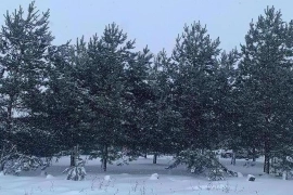 Участок 80 соток