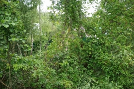 Участок 15 соток