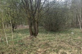 Участок 15 сот