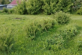 Участок 12 сот