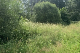 Участок 221,73 сот 