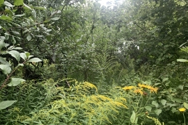 Участок 6,36 соток 