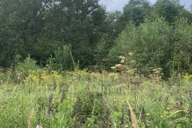 Участок 14.5 сот 