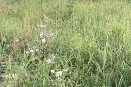 Участок 15 соток 