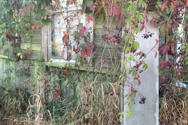 Дача 34,2 кв.м, 4,54 сот 