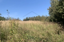 Участок 14,46 сот