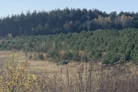 Участок 22 сот 