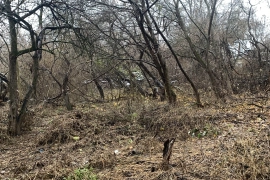 Участок 8 соток