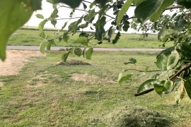 Участок 5 соток