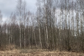 Участок 15 соток