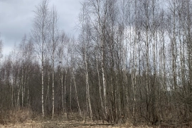 Участок 4 сот