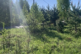 Дом 54 кв.м, Участок 8,68 сот