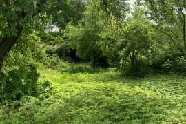 Участок 7,72 сот