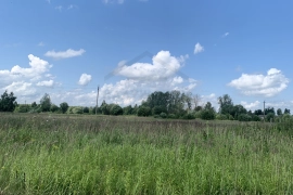 Участок 10 сот