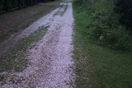 Участок 4 сот