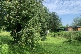 Участок 6 сот