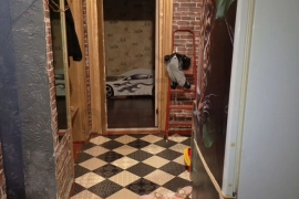 Комната 24 м² в 3-к., 1/2 эт.