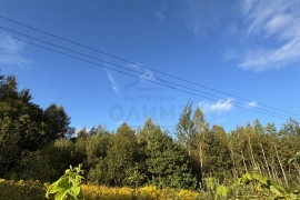 Участок 16 соток