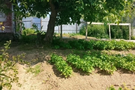 Участок 5,26 сот