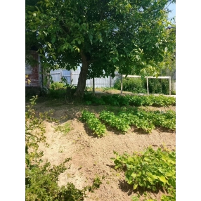 Участок 5,26 сот