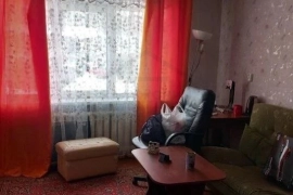 2х комн.кв., 37,1 м², 1/2 эт.