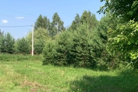 Участок 12,9  сот