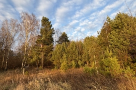 Участок 28,3 сот 