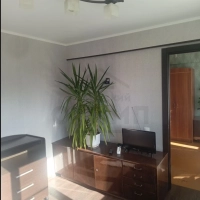 трёшка в центре