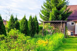 Крутицы Юра