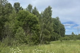 Участок 3,53 га 
