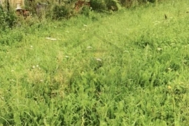 Зем.участок 26 сот, дом