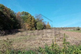 участок 20 соток