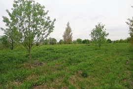 Участок ИЖС 14 соток