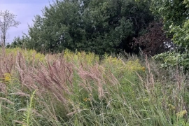 Участок 15 сот.