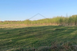 Участок 11,41 сот.